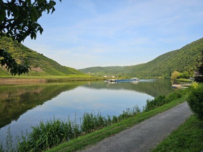 Apartment 4-Bettwohnung - Outdoor photo 14