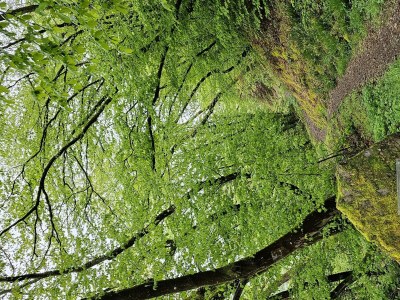 Apartment 4-Bettwohnung - Outdoor photo 17