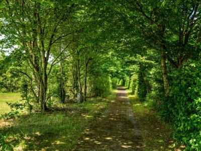 Holiday house 4 person holiday home in Hampen - Outdoor photo 10