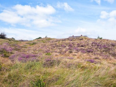 Holiday house 5 Sterne Ferienhaus in Ulfborg - Outdoor photo 34
