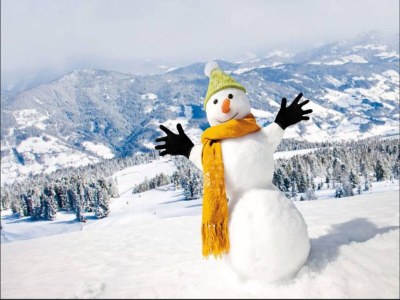 Holiday park Attraktives Chalet mit Sauna - Environment photo 26