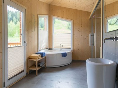 Holiday park Majestic chalet with sauna - Features photo 6