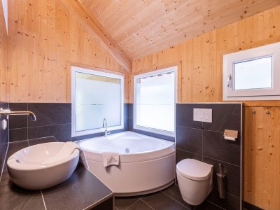 Holiday park Premium chalet with infrared sauna - Features photo 26