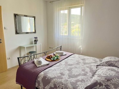 Apartment Apartment Zara - Two Bedroom Apartment with Balcony - Features photo 15