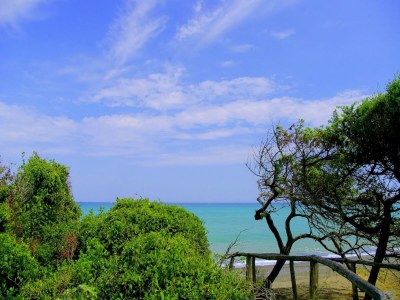 Farmhouse Toskanisches Bauernhaus mit privatem Pool - Environment photo 14