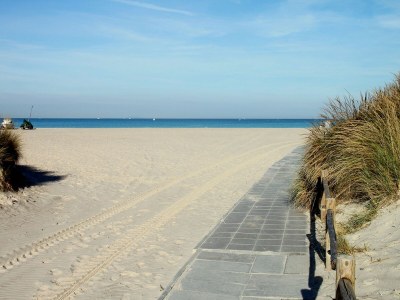 Farmhouse Toskanisches Bauernhaus mit privatem Pool - Environment photo 15