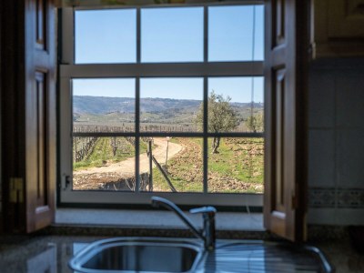 Holiday park Wunderschönes Ferienhaus mit Schwimmbad in Vila Flor - Outdoor photo 32