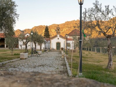 Holiday park Cozy Cottage with Swimming Pool - Outdoor photo 3