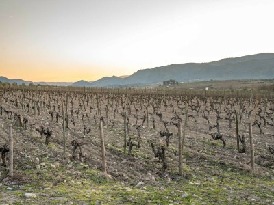 Holiday park Cozy Cottage with Swimming Pool - Environment photo 18