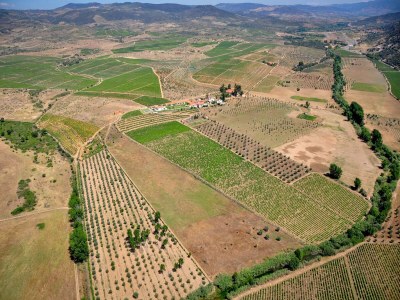 Holiday park Cozy Cottage with Swimming Pool - Environment photo 20