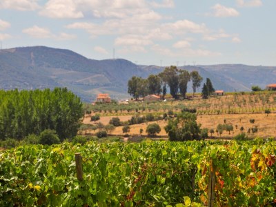 Holiday park Cozy Cottage with Swimming Pool - Environment photo 23