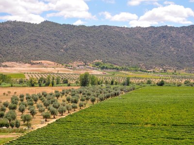 Holiday park Cozy Cottage with Swimming Pool - Environment photo 26