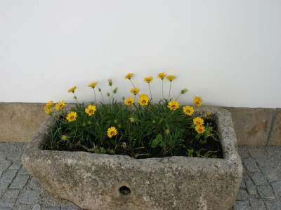 Holiday park Cozy Cottage with Swimming Pool - Outdoor photo 33