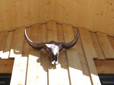 Holiday park Lovely chalet with hot tub - Outdoor photo 25