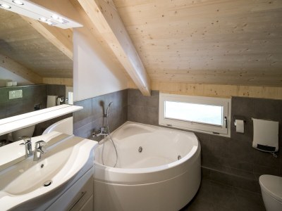 Holiday park Chalet with indoor hot tub - Features photo 14