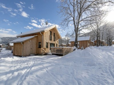 Holiday park Attractive chalet with whirlpool - Outdoor photo 12