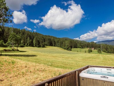 Holiday park Modern chalet with infrared sauna - Outdoor photo 2