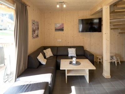 Holiday park Spacious chalet with infrared sauna - Features photo 7