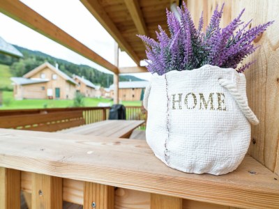 Holiday park Spacious chalet with infrared sauna - Outdoor photo 22