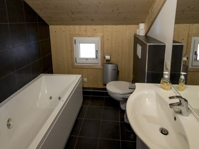 Holiday park Chalet mit Whirlpool - Features photo 16