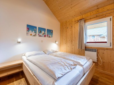 Holiday park Premium chalet with sauna - Features photo 18