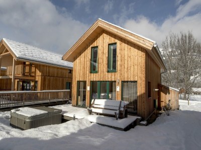 Holiday park Chalet in the ski area in Styria - Outdoor photo 4