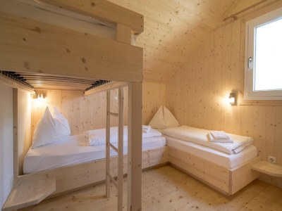 Holiday park Chalet in the ski area in Styria - Features photo 6