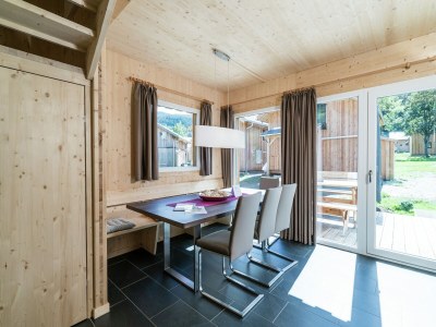 Holiday park Chalet in the ski area in Styria - Features photo 12