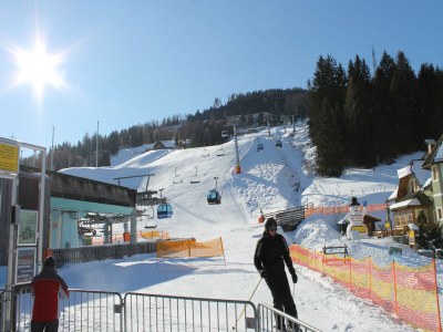 Holiday park Chalet in the ski area in Styria - Environment photo 26