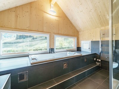 Holiday park Superior Chalet mit Sauna und Whirlpool - Features photo 11