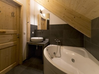 Holiday park Inviting chalet with whirlpool - Features photo 14