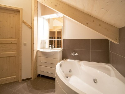 Holiday park Chalet mit Sauna - Features photo 14