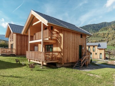 Holiday park Snug chalet with sauna in St. Lorenzen ob Murau - Holiday park