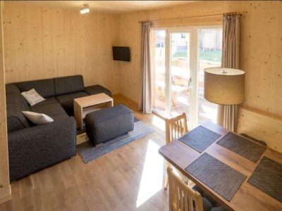 Holiday park Snug chalet with sauna - Features photo 16