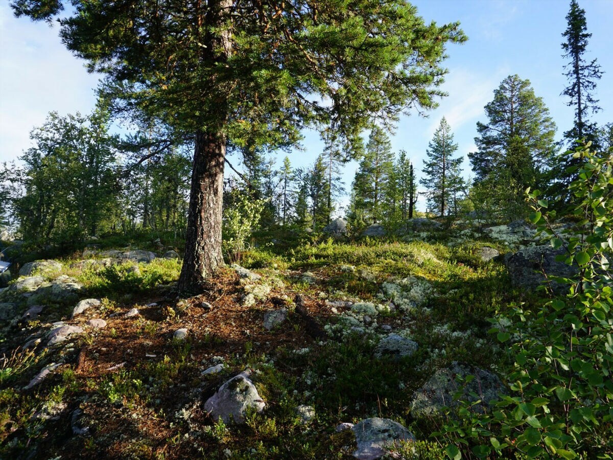 Alpine hut Thomasgaard - Outdoor photo 5