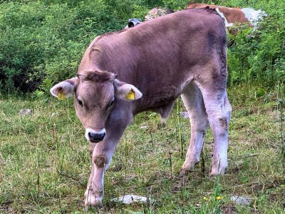 Apartment Wohnung I - Outdoor photo 5