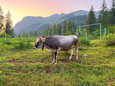 Apartment Wohnung I - Outdoor photo 6