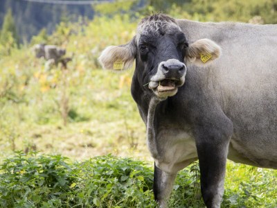 Apartment Wohnung I - Outdoor photo 20