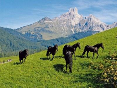 Apartment Appartement "Elisabeth" - Outdoor photo 3