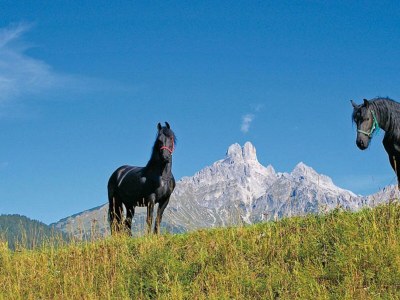 Apartment Appartement "Elisabeth" - Outdoor photo 4