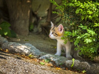 Apartment Appartement Babsi - Outdoor photo 23