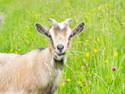 Apartment Appartement Babsi - Outdoor photo 33