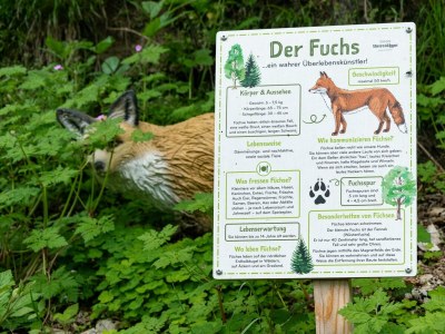 Apartment Appartement Babsi - Outdoor photo 38