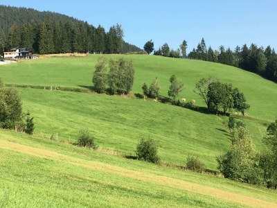 Apartment Panoramareich - Outdoor photo 17