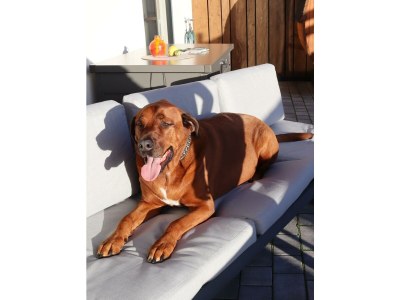 Apartment Panoramareich - Outdoor photo 20