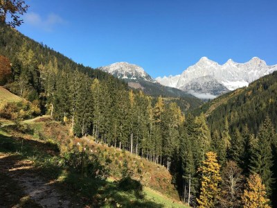 Apartment Panoramareich - Outdoor photo 29