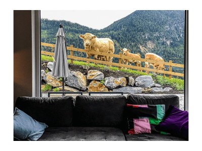 Apartment Panoramareich - Features photo 40