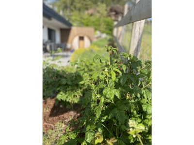 Apartment Panoramareich - Features photo 50