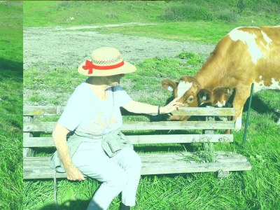 Apartment Appartement Typ C - Outdoor photo 15