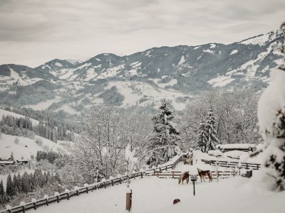 Apartment Appartement "Hochalm" - Outdoor photo 6